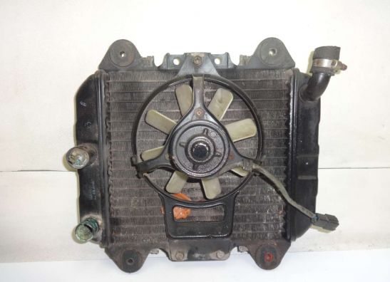 Radiateur Kawasaki ZZR 250