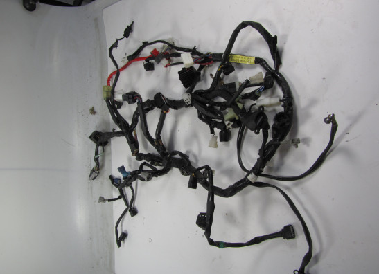 Wire Harness Yamaha MT 09