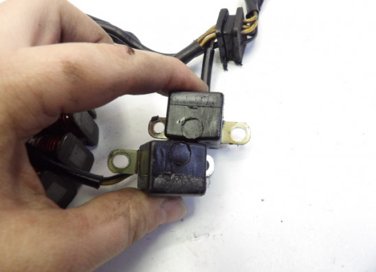 Dynamo Kawasaki GPZ 500