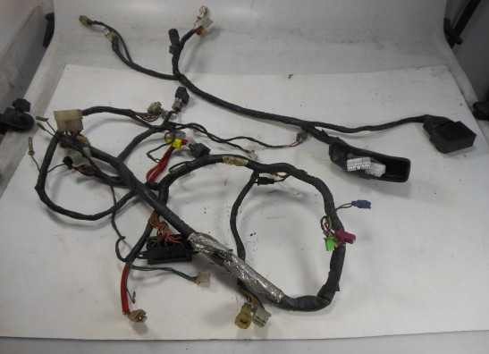 Wire Harness Yamaha FJ 1200