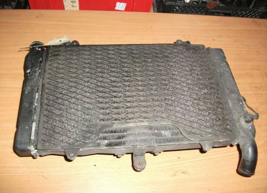 Radiator Honda CBR 1000 F