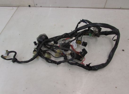 Kabelbaum Yamaha YZF 600 Thundercat