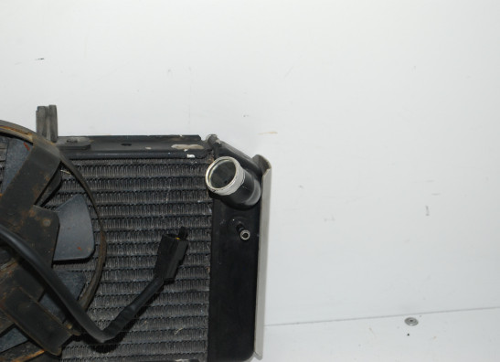 Radiateur Yamaha FAZER 600