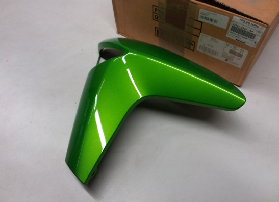 Linker zijkuip klein Kawasaki ER 6