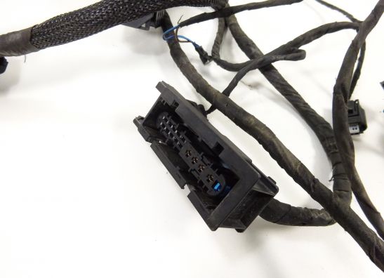 Wire Harness BMW F 800 S - ST