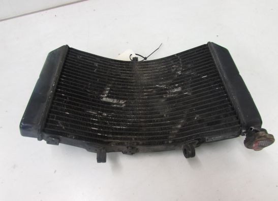 Radiateur Honda CBR 600 F