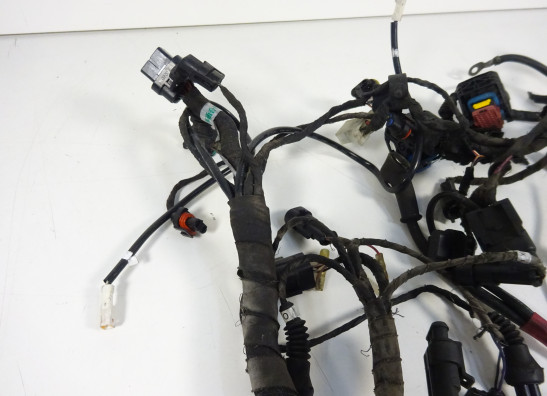 Kabelbaum Ducati 848