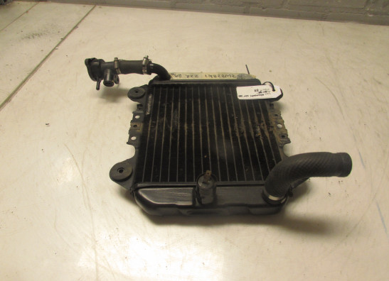 Radiator Kawasaki ZZR 250