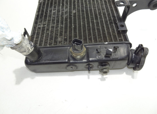 Radiator Suzuki DL 1000 V STROM