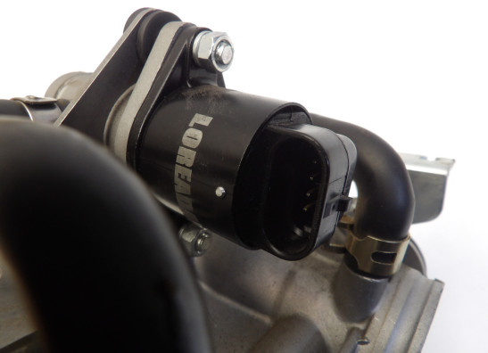 Einspritzanlage Benelli TRK 502 X