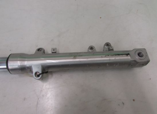 Voorpoot links compleet Suzuki SV 650