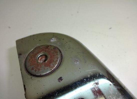 Engine cover Suzuki LS 650