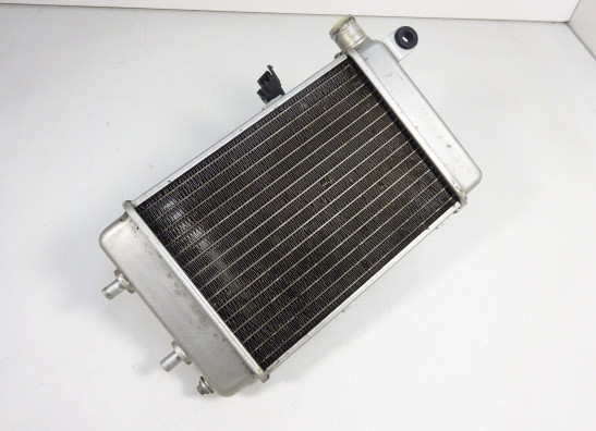 Kuhler Aprilia RSV 1000