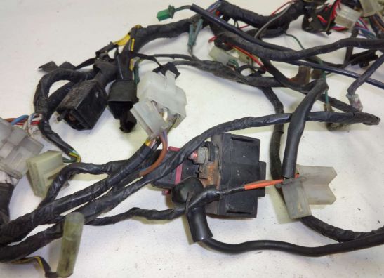 Kabelbaum Kawasaki ZZR 250