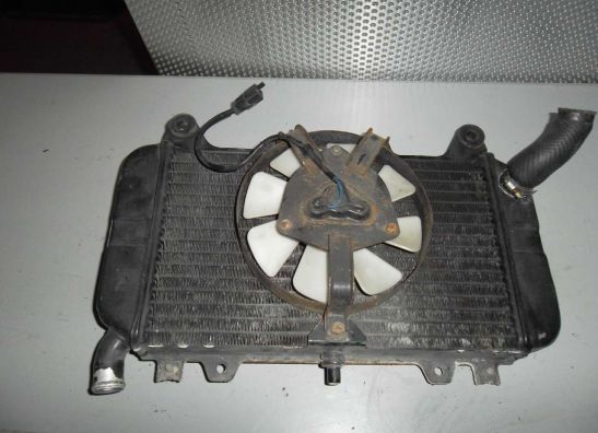 Kuhler Kawasaki ZZR 600