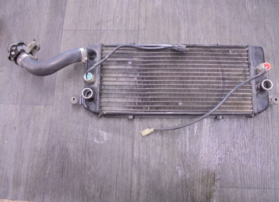 Radiator Suzuki VZ 800 marauder