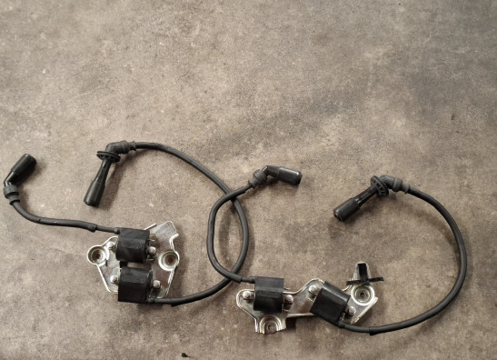 Ignition Coil Suzuki DL 1000 V STROM