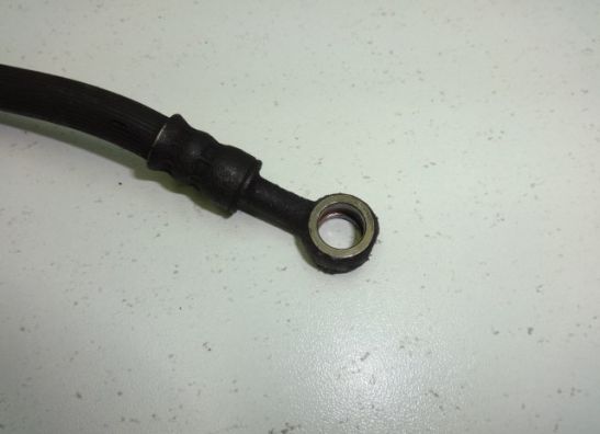 Remleiding voor Honda TRANSALP