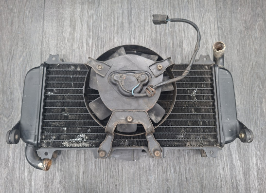 Kuhler Yamaha FZR 400