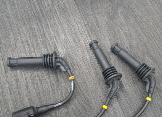 Bobine Triumph Trident 900