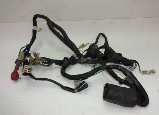 Wire Harness Honda Overige Honda