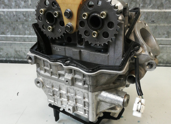 Cylinder head Aprilia RSV 1000