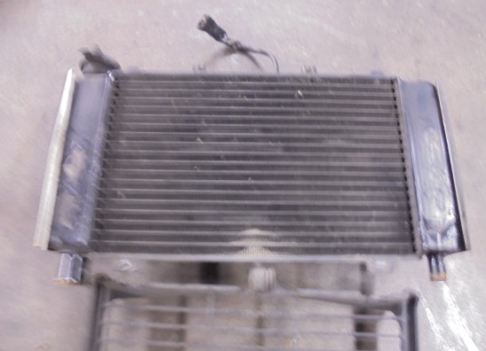 Kuhler Yamaha FZ6