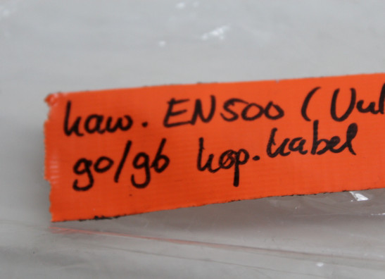 Kupplungszug Kawasaki EN 500 Vulcan