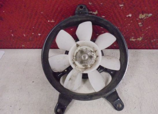 Ventilator Triumph Tiger 955i 1999-2005