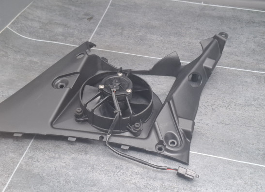 Fan Buell 1125 R