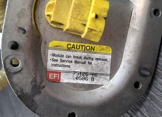 Brandstofpomp Harley Davidson Touring FL