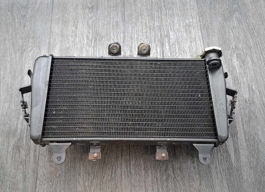 Radiator Triumph Tiger 1050
