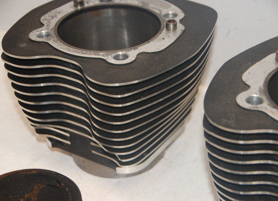 Cilinderblok Harley Davidson Softtail
