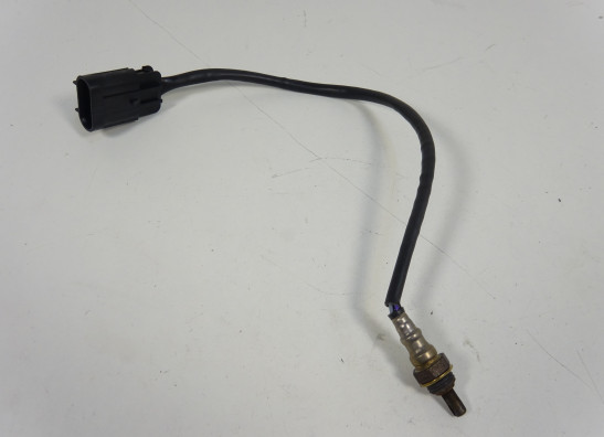 Lambdasonde Benelli 302 R