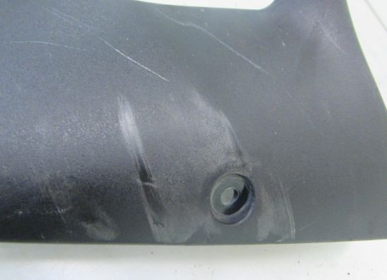 Voorspatbord Kawasaki ZX 6 R