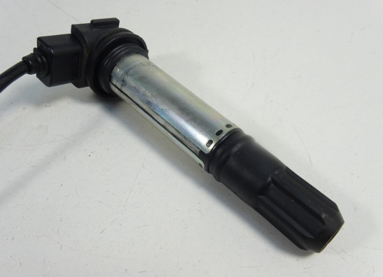 Bobine MV Agusta 989 Brutale R