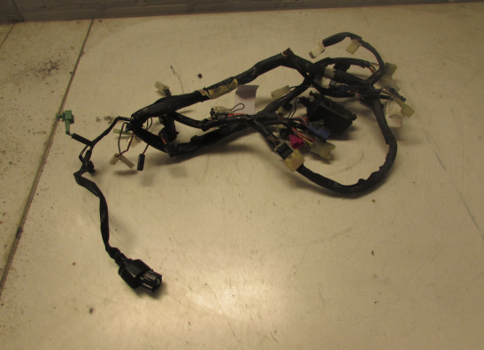 Kabelboom Yamaha FAZER 600