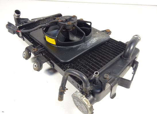 Radiateur Triumph Tiger 1050