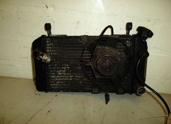 Radiateur Suzuki SV 650