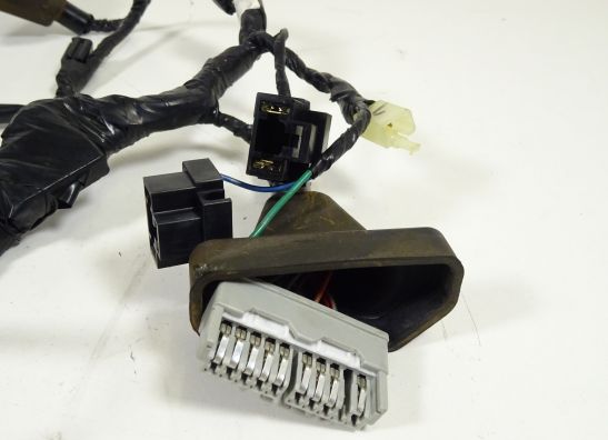 Wire harness front Honda CBR 1100 XX