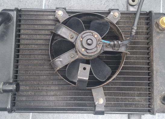 Radiator Suzuki Burgman 400