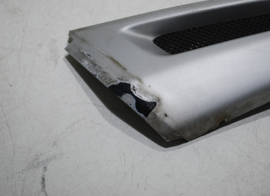 Voorspatbord BMW R 1100 GS