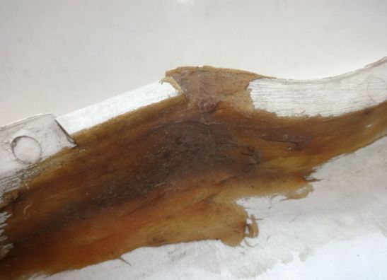 Linker achterkant Honda CBR 600 F