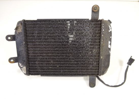 Radiateur Suzuki Burgman AN 250