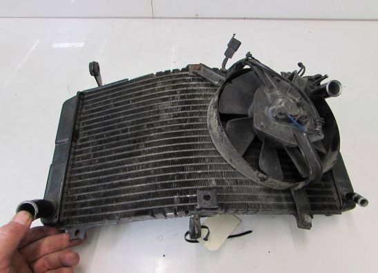 Radiator Suzuki GSX R 750