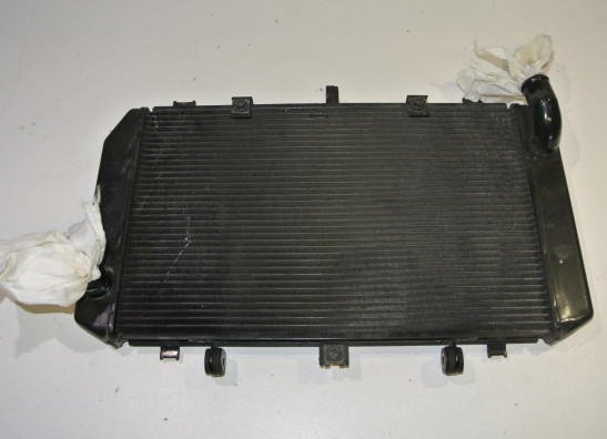 Radiator Kawasaki Z 750
