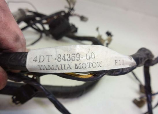 Kabelboom Yamaha TDM