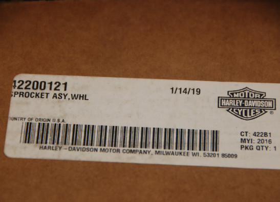 Kette Harley Davidson Sportster