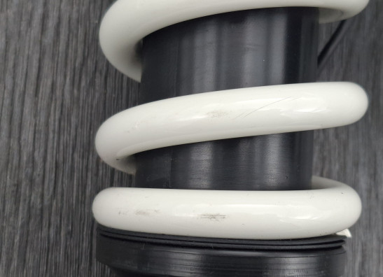 Stossdampfer hinten BMW R 1300 GS