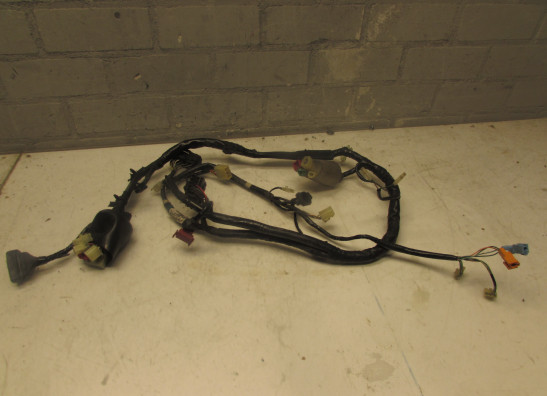 Kabelboom voor Honda CBR 600 F
